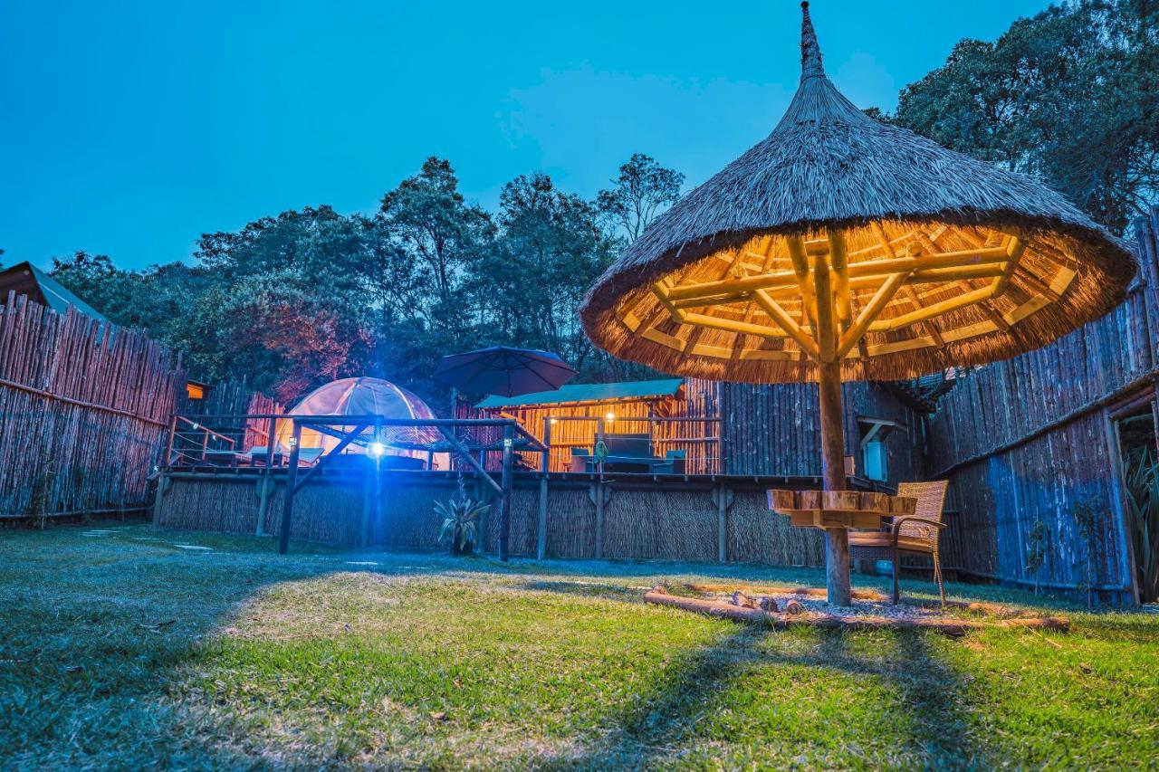 Bubblesky Glamping 15 Min From Medellin Hotel Rionegro Ngoại thất bức ảnh
