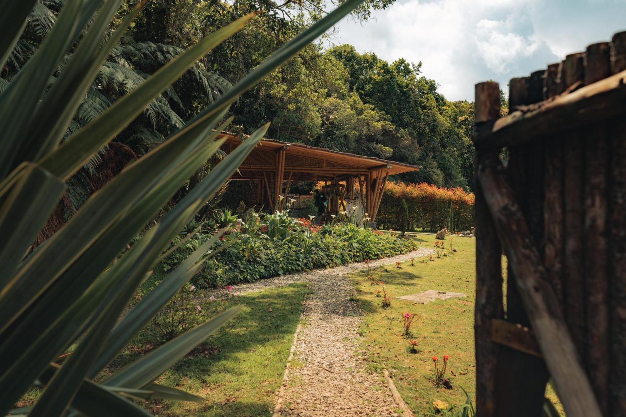 Bubblesky Glamping 15 Min From Medellin Hotel Rionegro Ngoại thất bức ảnh