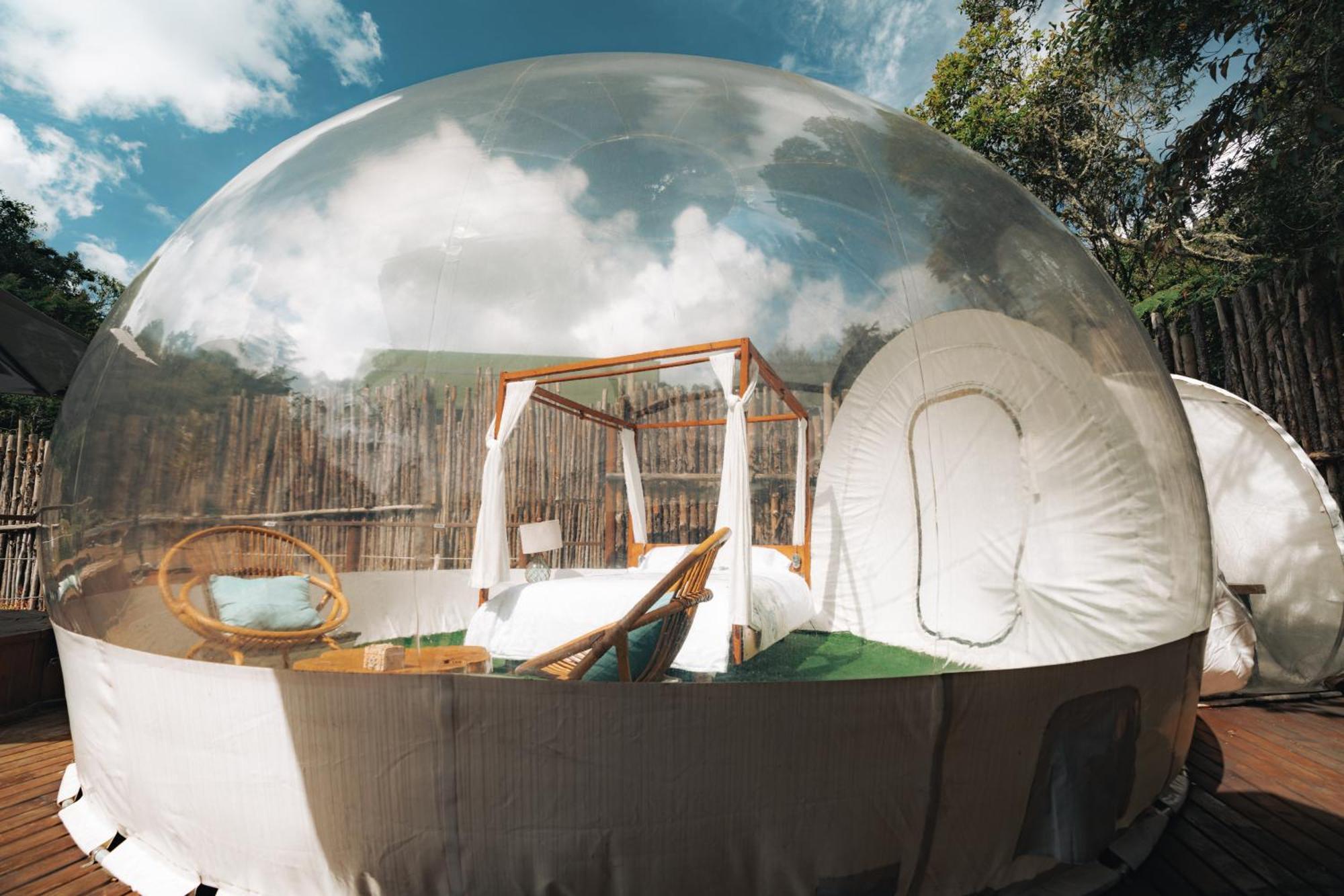Bubblesky Glamping 15 Min From Medellin Hotel Rionegro Ngoại thất bức ảnh