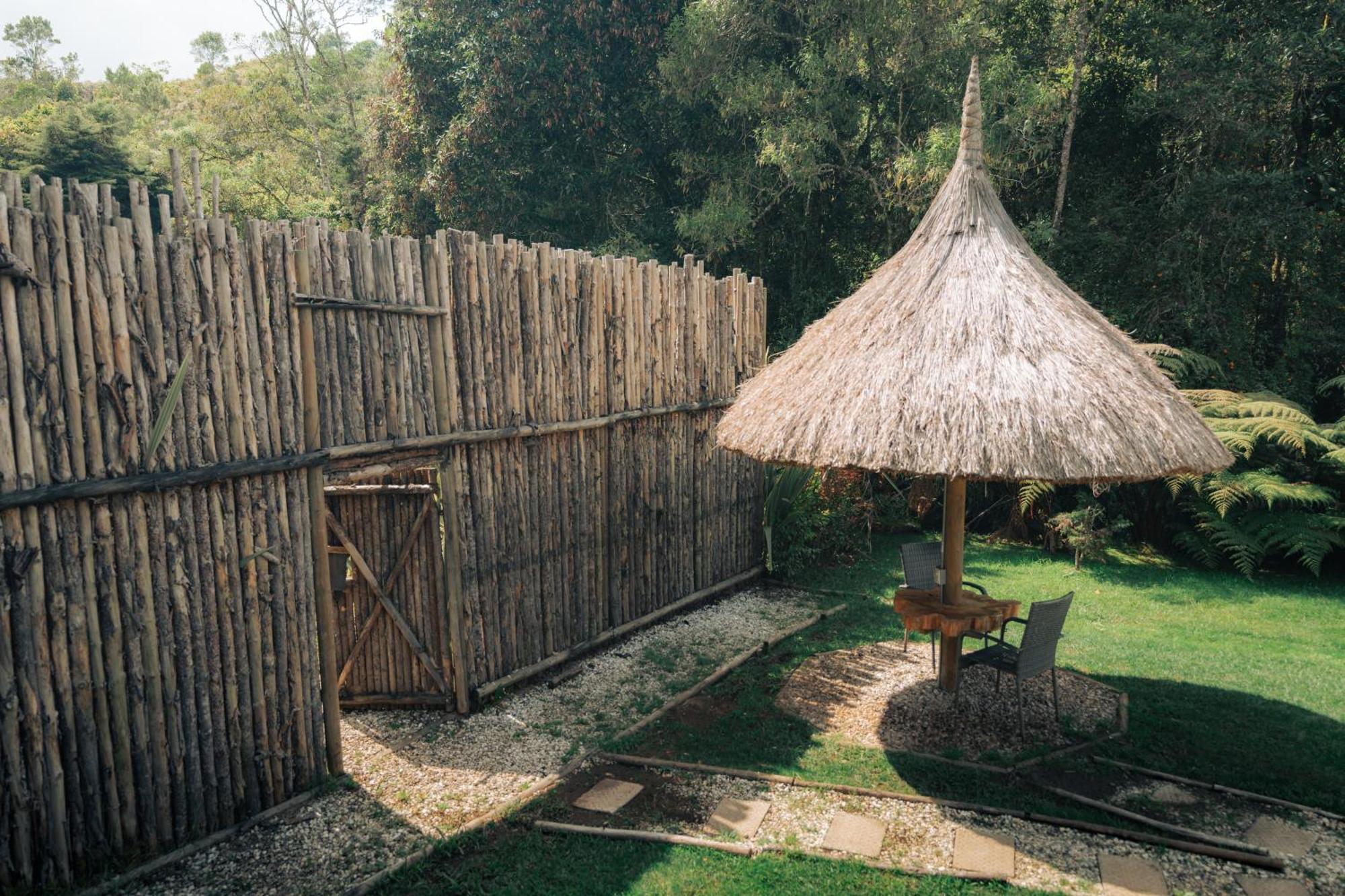 Bubblesky Glamping 15 Min From Medellin Hotel Rionegro Ngoại thất bức ảnh
