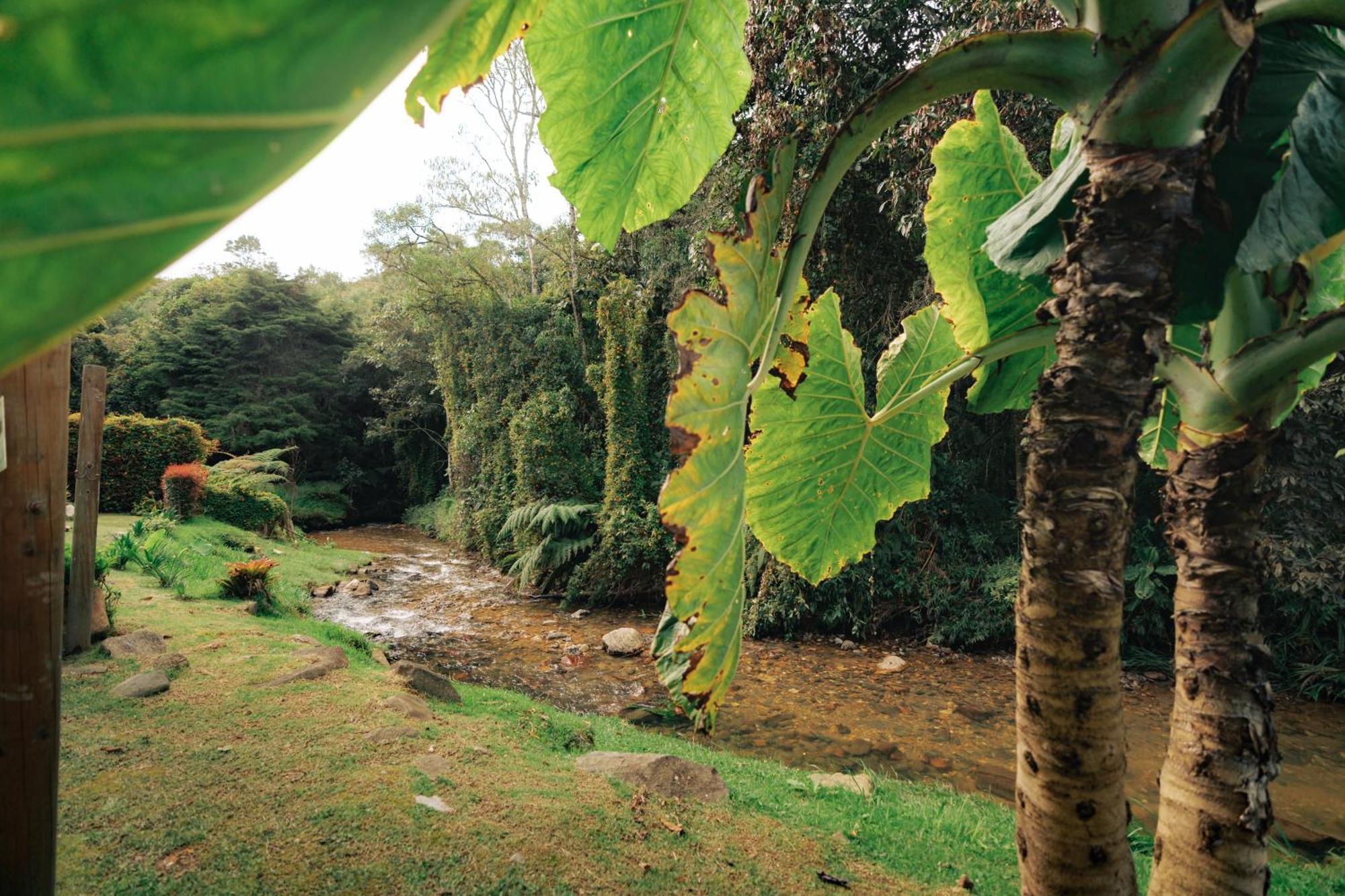 Bubblesky Glamping 15 Min From Medellin Hotel Rionegro Ngoại thất bức ảnh