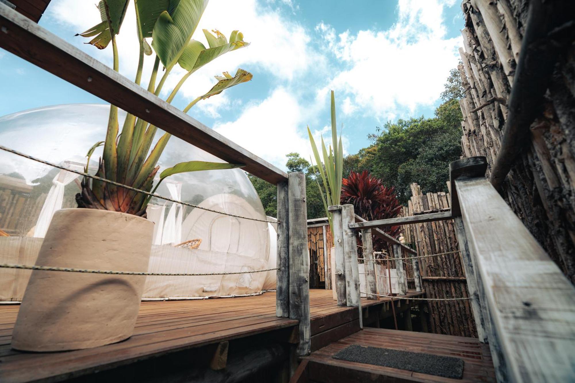 Bubblesky Glamping 15 Min From Medellin Hotel Rionegro Ngoại thất bức ảnh