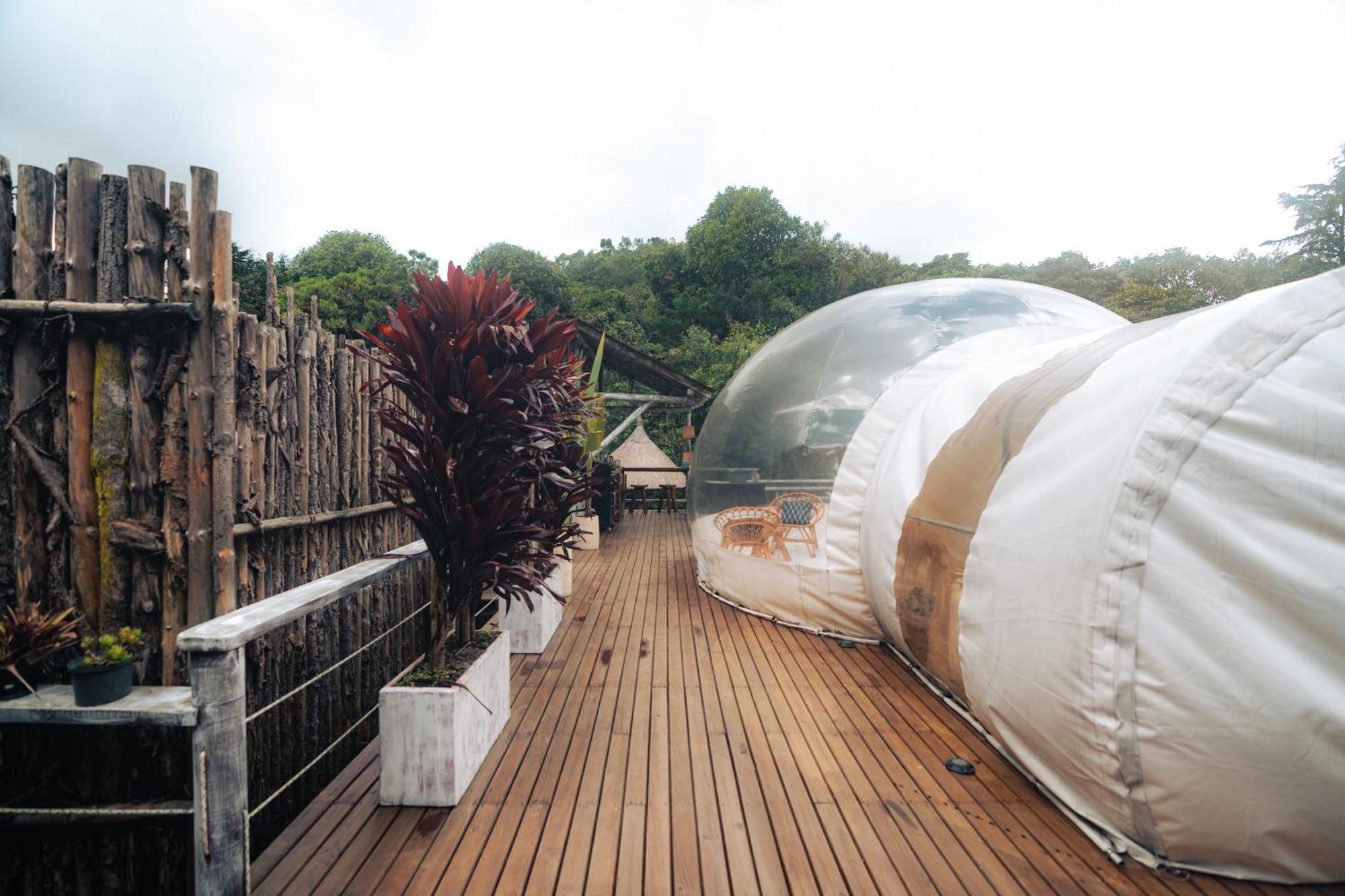 Bubblesky Glamping 15 Min From Medellin Hotel Rionegro Ngoại thất bức ảnh