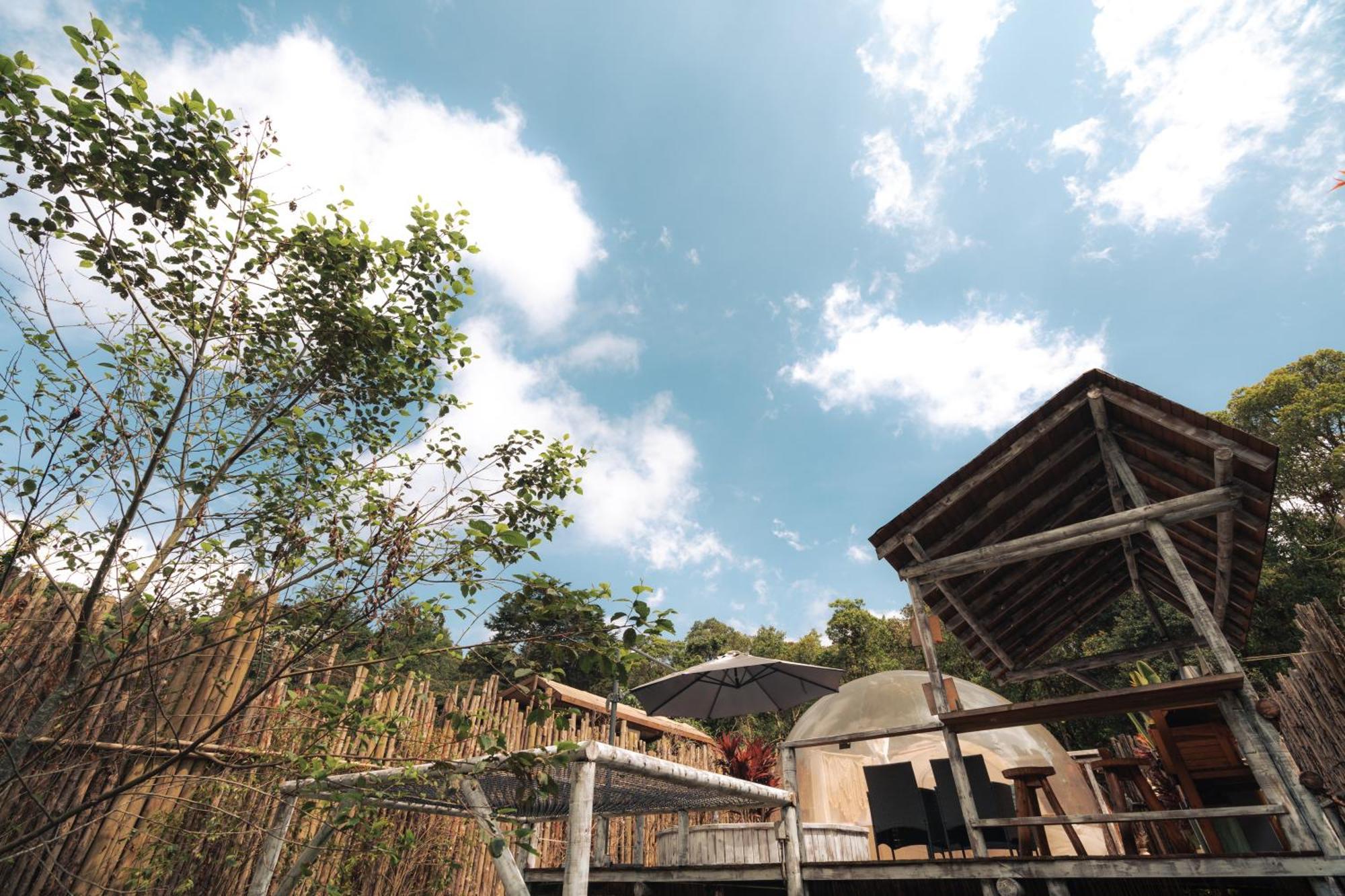 Bubblesky Glamping 15 Min From Medellin Hotel Rionegro Ngoại thất bức ảnh