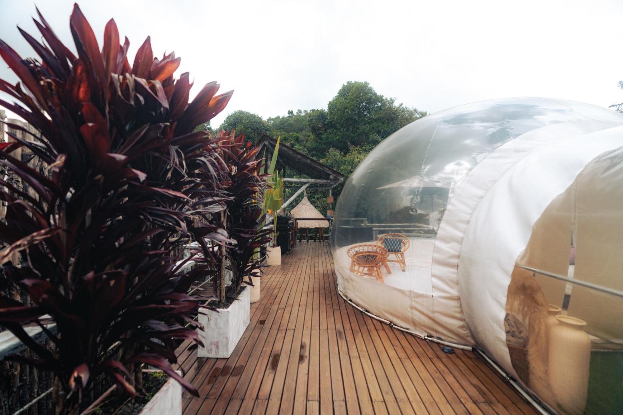 Bubblesky Glamping 15 Min From Medellin Hotel Rionegro Ngoại thất bức ảnh