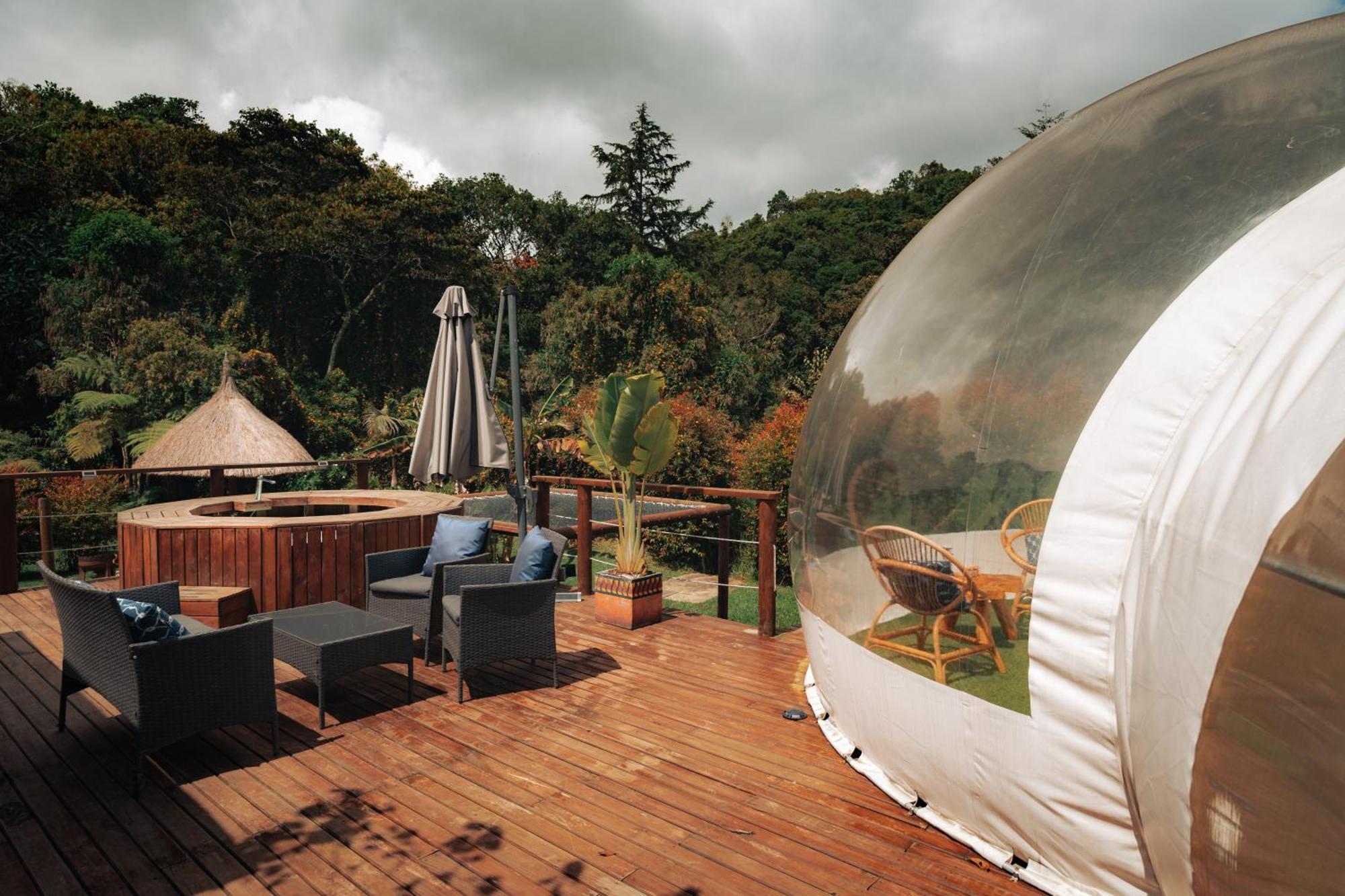 Bubblesky Glamping 15 Min From Medellin Hotel Rionegro Ngoại thất bức ảnh